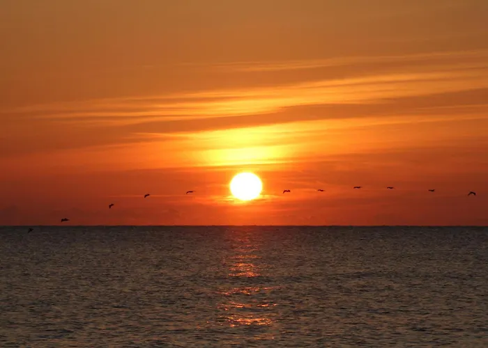 Motels Oceanfront Inn And Suites - Ormond